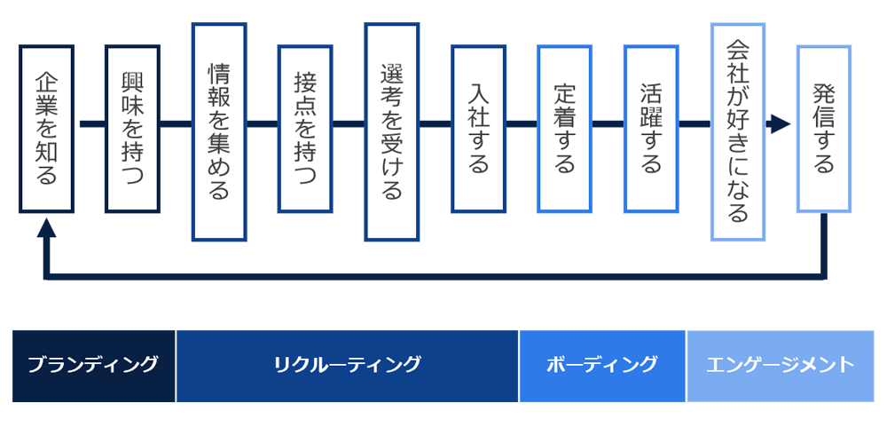 採用ブランディングでの採用サイクル